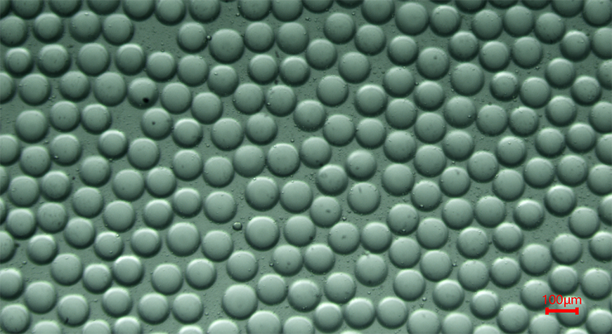 可控降解聚丙烯酰胺水凝胶微球（PAGE）制备服务插图