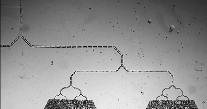 使用超快速数字PCR系统检测新冠病毒RNA（一篇短评和随想）缩略图