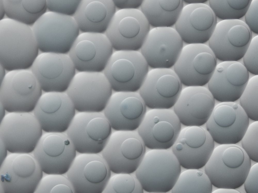 微流控技术应用：使用微液滴包裹单细胞和条码水凝胶微球插图