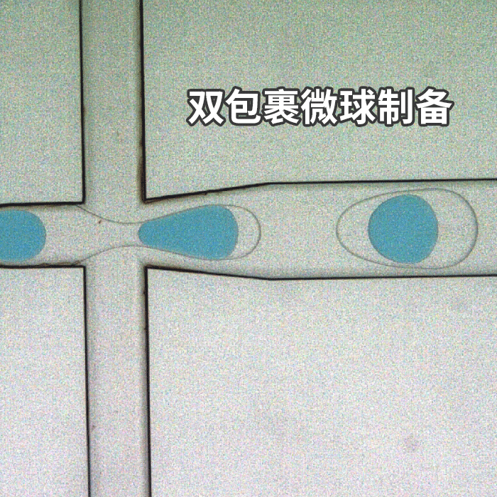 主页插图23