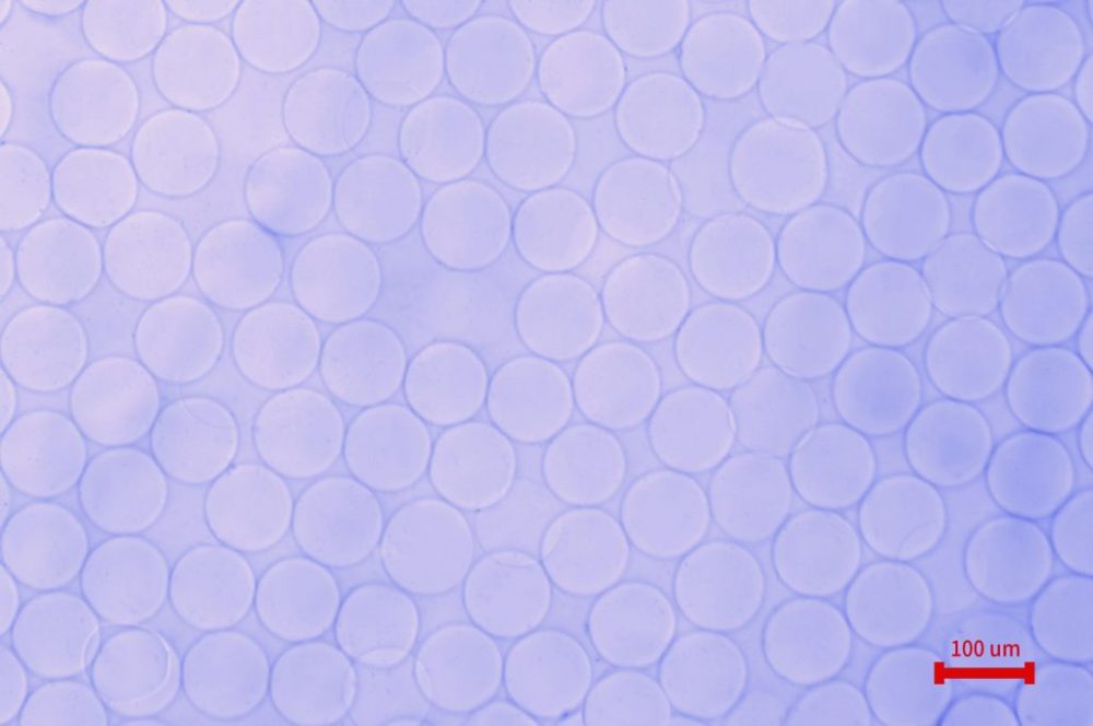 海藻酸钠微球合成和药物包裹服务插图