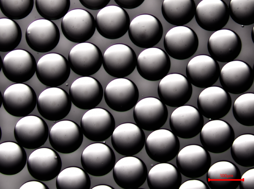 3D细胞培养用的PCL(聚己内酯)微球载体制备插图