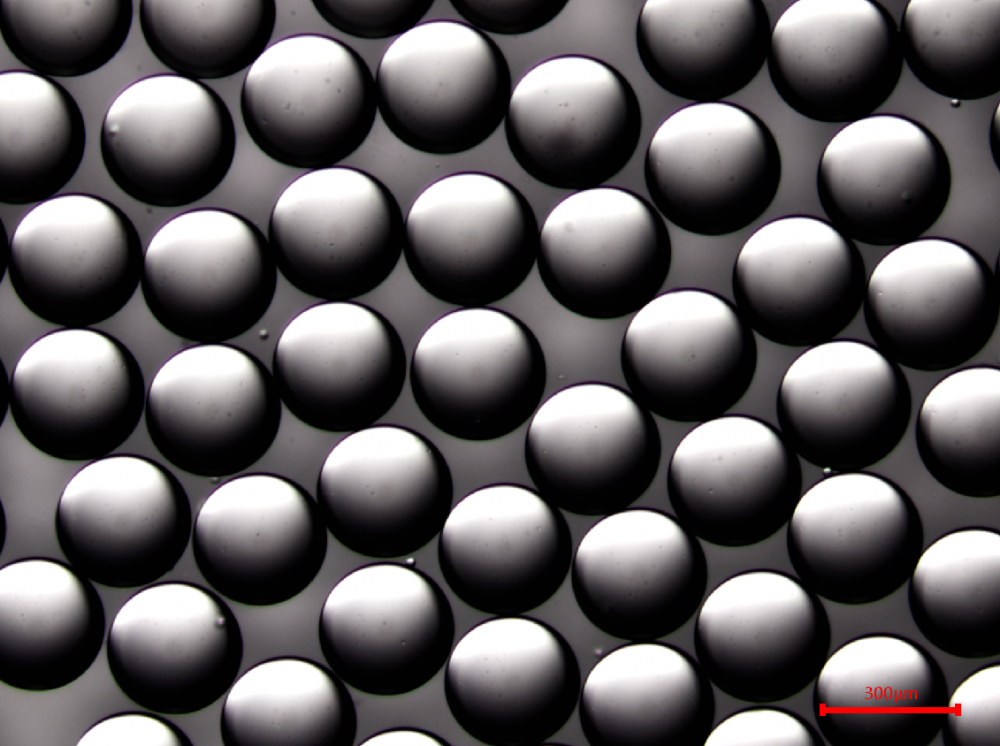 3D细胞培养用的PCL(聚己内酯)微球载体制备插图1