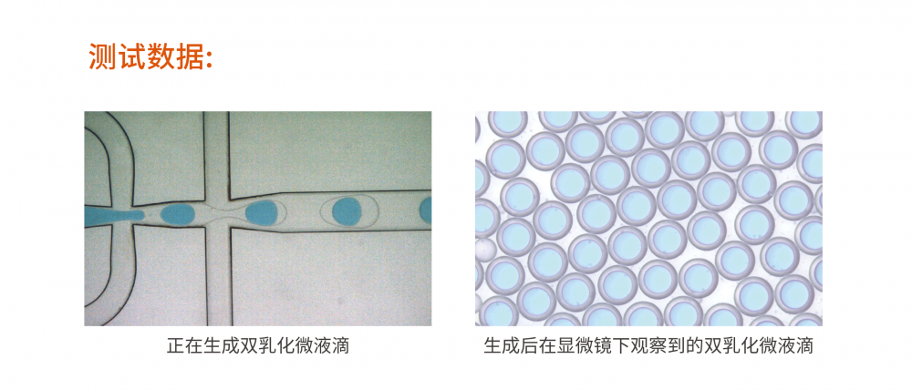 双乳化W/O/W（双包裹）玻璃芯片插图3