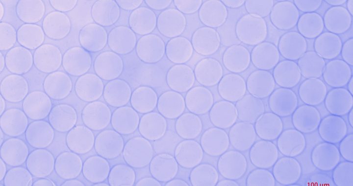 实验方案：使用微流控方法制备海藻酸钠微球操作教程缩略图