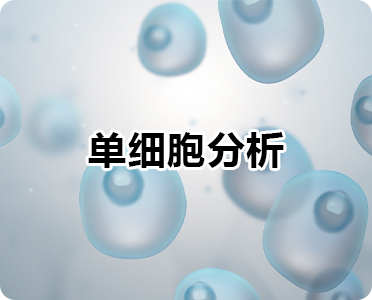 单细胞分析