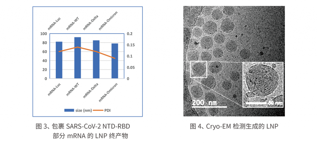 LNP(纳米脂质体颗粒)合成系统插图5