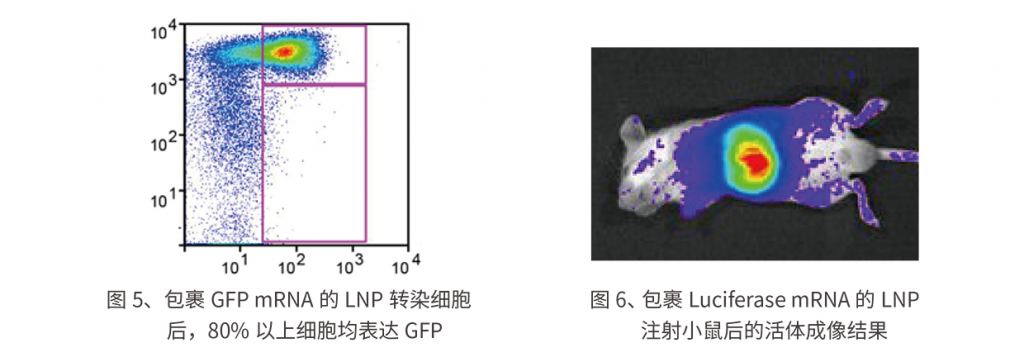 LNP(纳米脂质体颗粒)合成系统插图6