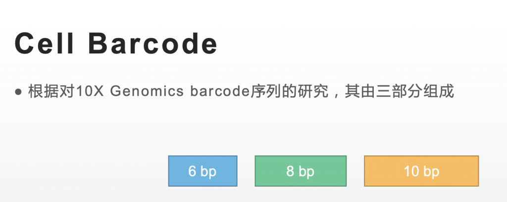 微流控技术前沿：如何制作适用于10X Genomics体系的barcode gel beads？插图4
