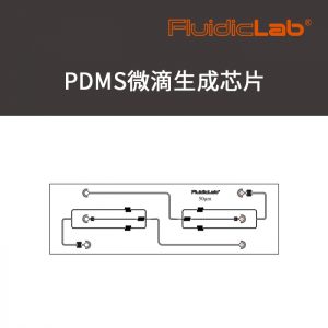 PDMS芯片