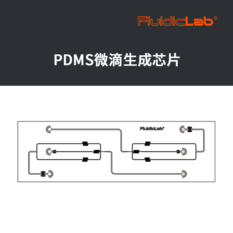主页插图10