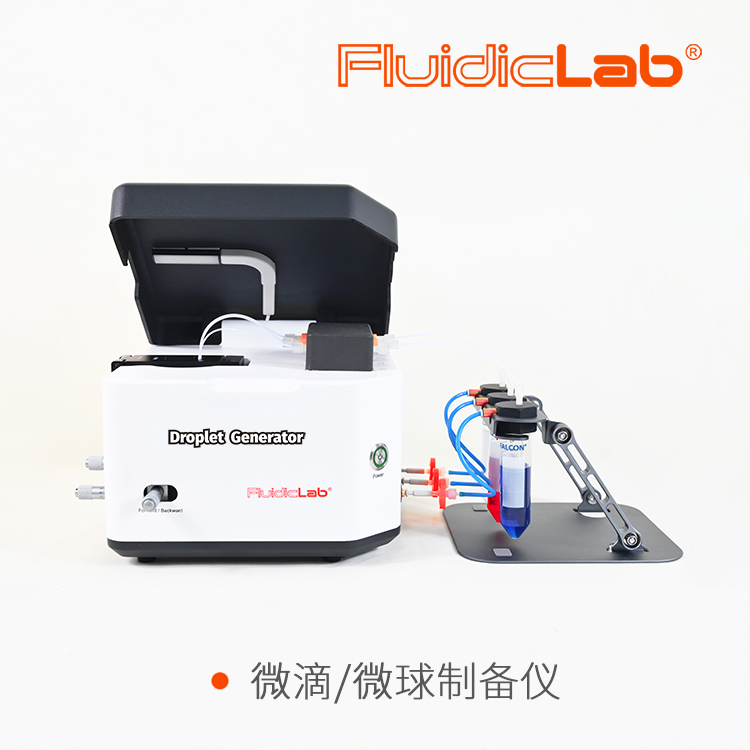 主页插图1