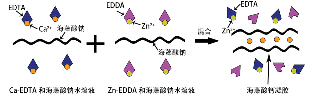 实验方案：微流控方式制备高单分散的海藻酸钠凝胶微球（Ca-EDTA/Zn-EDDA离子交换法）插图