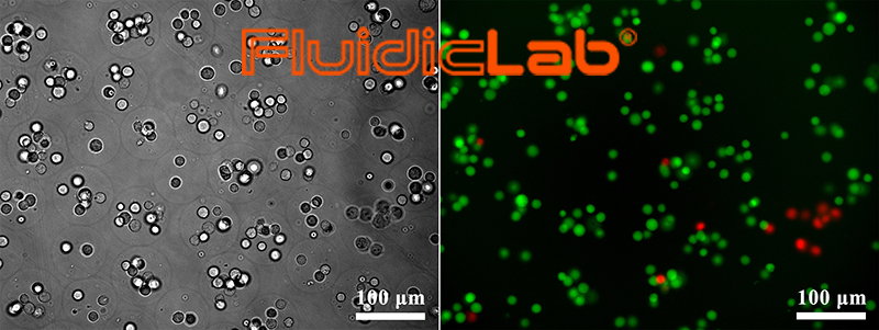实验方案：微流控方式制备高单分散的海藻酸钠凝胶微球（Ca-EDTA/Zn-EDDA离子交换法）插图7