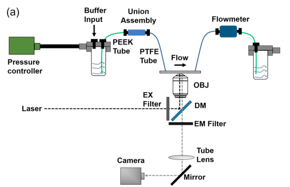微流控实验：用压力泵还是注射泵？谁能更准确稳定的控制流速？插图